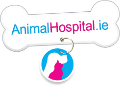 The Animal Hospital Home