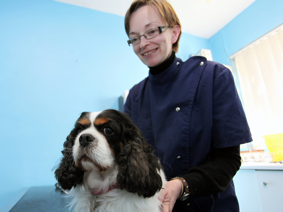 Animal Hospital