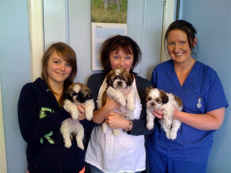 Tracy and Pups