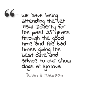 testimonials-1